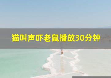 猫叫声吓老鼠播放30分钟