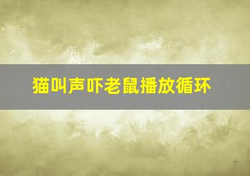 猫叫声吓老鼠播放循环