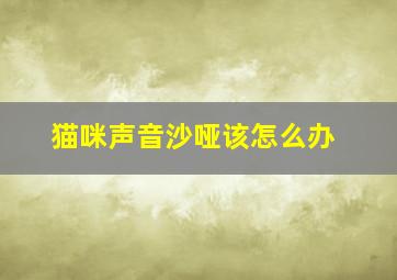 猫咪声音沙哑该怎么办