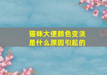 猫咪大便颜色变淡是什么原因引起的