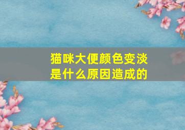 猫咪大便颜色变淡是什么原因造成的