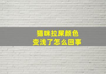 猫咪拉屎颜色变浅了怎么回事