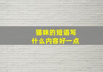 猫咪的短语写什么内容好一点