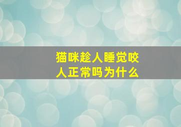 猫咪趁人睡觉咬人正常吗为什么