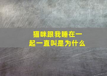 猫咪跟我睡在一起一直叫是为什么