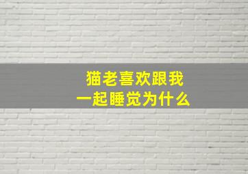 猫老喜欢跟我一起睡觉为什么