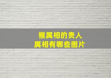 猴属相的贵人属相有哪些图片