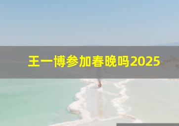 王一博参加春晚吗2025