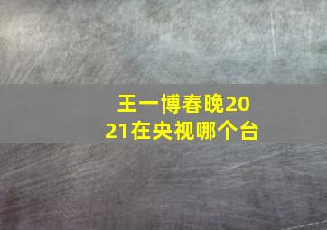 王一博春晚2021在央视哪个台