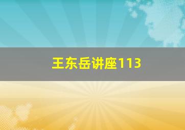 王东岳讲座113