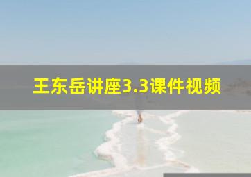 王东岳讲座3.3课件视频