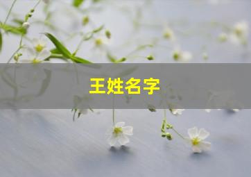 王姓名字