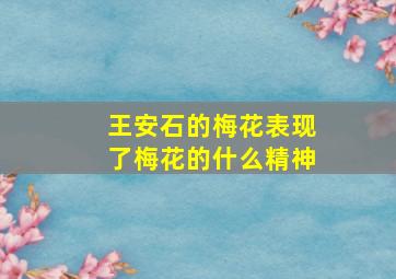 王安石的梅花表现了梅花的什么精神