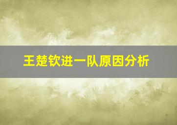 王楚钦进一队原因分析