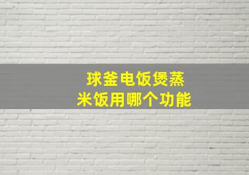 球釜电饭煲蒸米饭用哪个功能