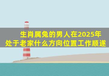 生肖属兔的男人在2025年处于老家什么方向位置工作顺遂