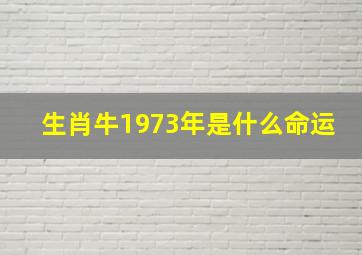 生肖牛1973年是什么命运