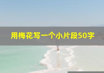 用梅花写一个小片段50字