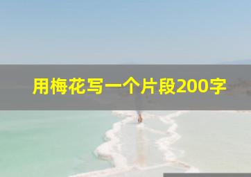 用梅花写一个片段200字