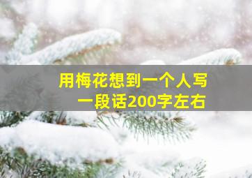 用梅花想到一个人写一段话200字左右