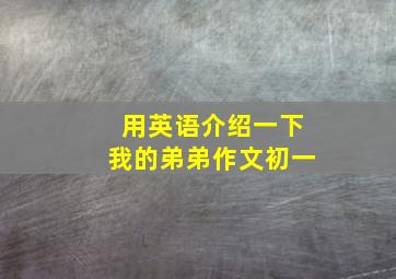 用英语介绍一下我的弟弟作文初一