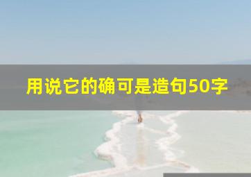 用说它的确可是造句50字