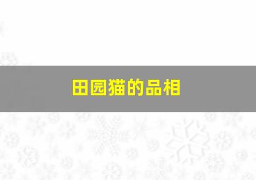 田园猫的品相