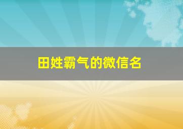 田姓霸气的微信名