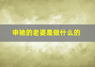 申驰的老婆是做什么的