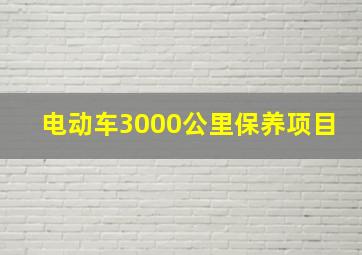 电动车3000公里保养项目