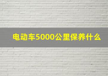 电动车5000公里保养什么