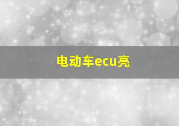 电动车ecu亮