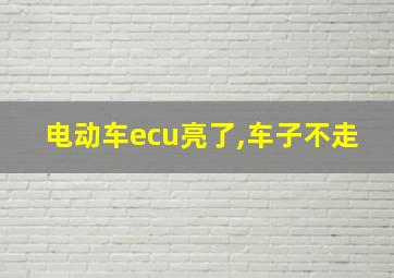 电动车ecu亮了,车子不走