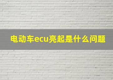 电动车ecu亮起是什么问题