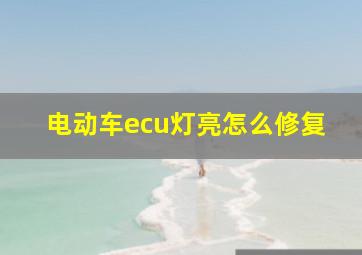 电动车ecu灯亮怎么修复