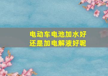 电动车电池加水好还是加电解液好呢