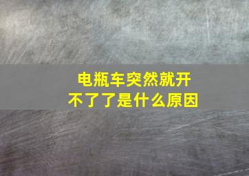 电瓶车突然就开不了了是什么原因