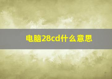 电脑28cd什么意思