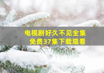 电视剧好久不见全集免费37集下载观看