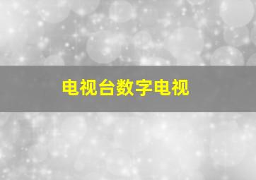 电视台数字电视