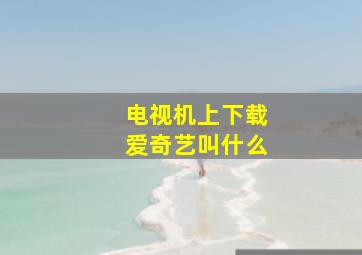 电视机上下载爱奇艺叫什么