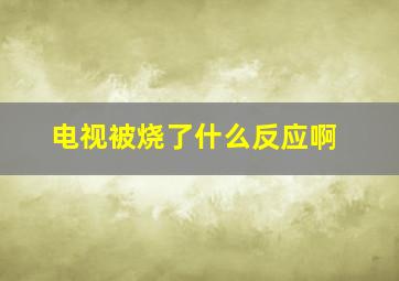 电视被烧了什么反应啊