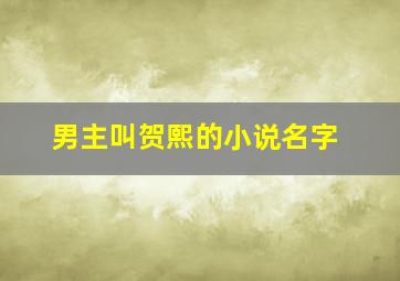 男主叫贺熙的小说名字