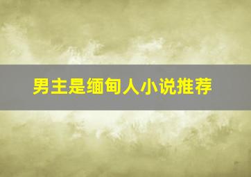 男主是缅甸人小说推荐