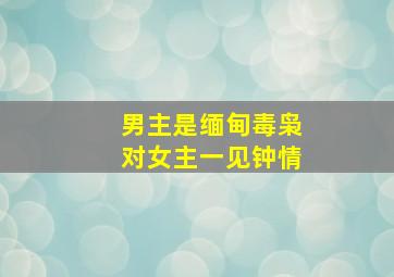 男主是缅甸毒枭对女主一见钟情