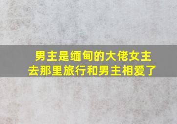 男主是缅甸的大佬女主去那里旅行和男主相爱了