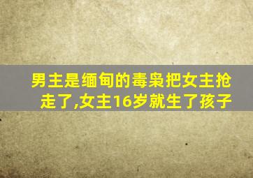 男主是缅甸的毒枭把女主抢走了,女主16岁就生了孩子