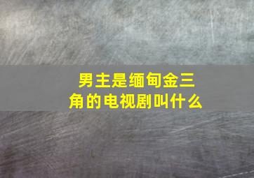 男主是缅甸金三角的电视剧叫什么