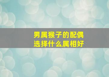 男属猴子的配偶选择什么属相好