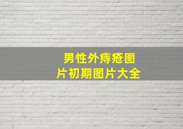 男性外痔疮图片初期图片大全